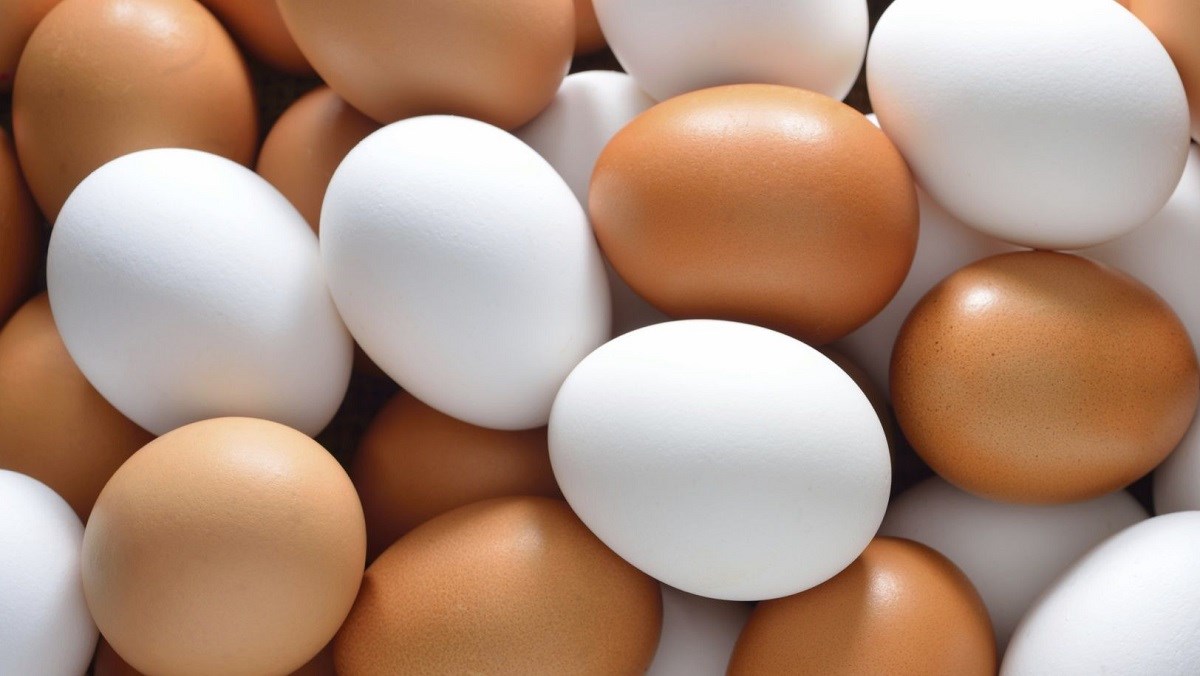 Trứng ăn cùng với tỏi có thể gây khó tiêu