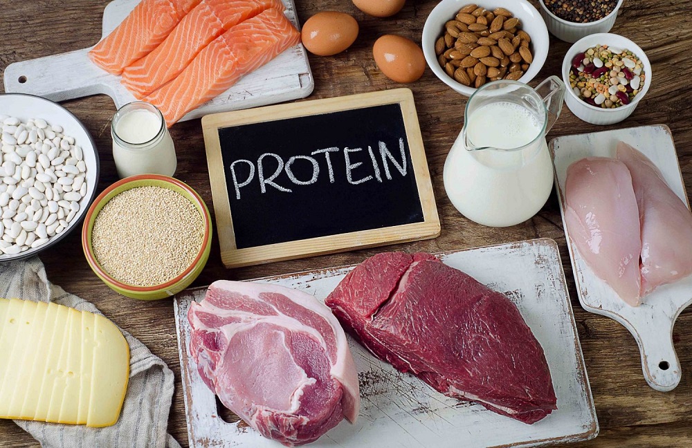 Protein là một phần thiết yếu trong chế độ ăn của các cầu thủ